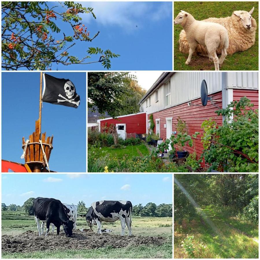Piratennest Nord Bordelum Ngoại thất bức ảnh